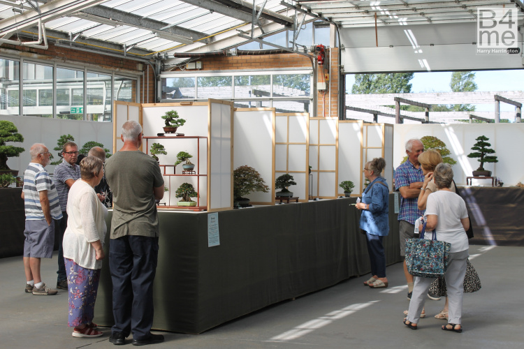 wirral bonsai show